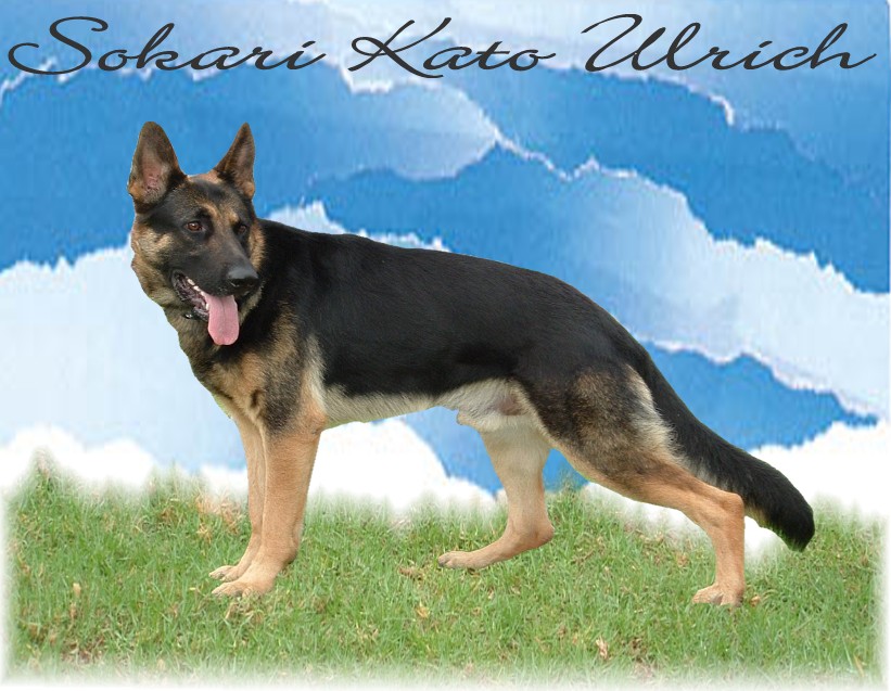 Ulrich